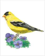 Tapyba pagal skaičius Royal & Langnickel Tapyba pagal skaičius 31 Vnt. - 5