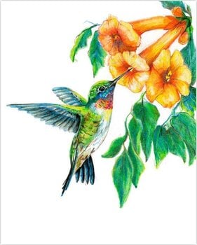 Slikanje po brojevima Royal & Langnickel Slikanje po brojevima 31 Ком - 7