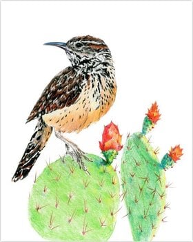 Slikanje po brojevima Royal & Langnickel Slikanje po brojevima 31 Ком - 10