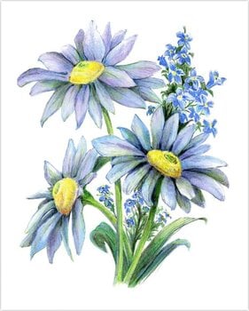 Slikanje po brojevima Royal & Langnickel Slikanje po brojevima 26 Ком - 2