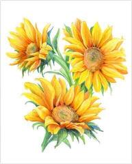 Slikanje po brojevima Royal & Langnickel Slikanje po brojevima 26 Ком - 2