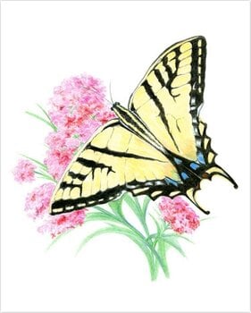 Pintura por números Royal & Langnickel Pintura por números 26 piezas - 2