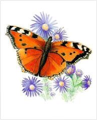 Pintura por números Royal & Langnickel Pintura por números 26 piezas - 2