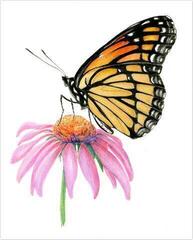 Pintura por números Royal & Langnickel Pintura por números 26 piezas - 3