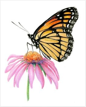 Pintura por números Royal & Langnickel Pintura por números 26 piezas - 4