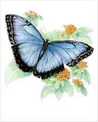 Pintura por números Royal & Langnickel Pintura por números 26 piezas - 4