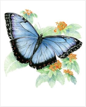 Pintura por números Royal & Langnickel Pintura por números 26 piezas - 5