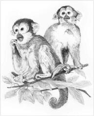 Slikanje po brojevima Royal & Langnickel Slikanje po brojevima 10 Ком - 1