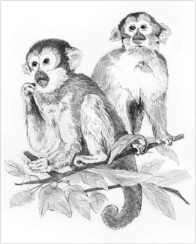 Slikanje po brojevima Royal & Langnickel Slikanje po brojevima 10 Ком - 2