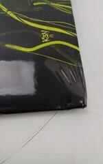 Vinylskiva Lamb Of God - Into Oblivion (Limited Edition) (LP) (Precis uppackade) - 3