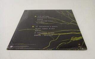 Vinylskiva Lamb Of God - Into Oblivion (Limited Edition) (LP) (Precis uppackade) - 4