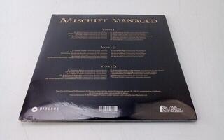 Vinyl Record The City Of Prague Philharmonic Orchestra - The Complete Harry Potter Film Music Collection (White Coloured) (3 LP) (Just unboxed) - 2