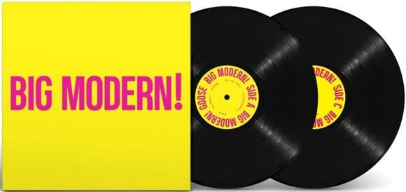 Vinüülplaat Goose - Big Modern! (2 LP) - 2