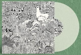 Disco de vinil Of Montreal - Aethermead (Gatefold) (Clear Coloured) (LP) - 1
