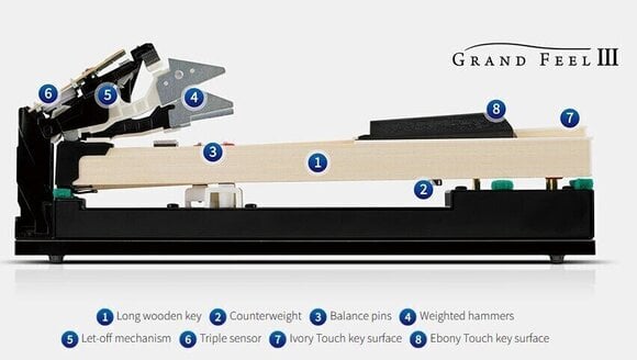 Ψηφιακό Πιάνο Kawai CA901EP Black Polished Ψηφιακό Πιάνο - 6