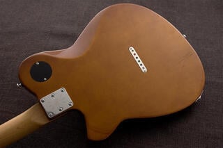 Elektriska gitarrer Reverend Guitars Charger 290 Sandstone Elektriska gitarrer - 1