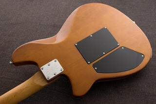 Elektrická kytara Reverend Guitars Kingbolt H90 Floyd Rose Elektrická kytara - 6