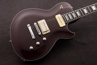 Elektrická kytara Reverend Guitars Roundhouse H90 Elektrická kytara - 2