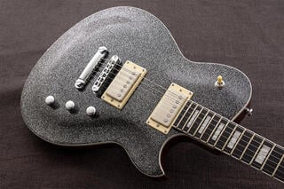 Elektrická kytara Reverend Guitars Roundhouse HH Elektrická kytara - 1