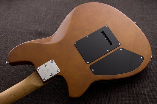Elektrická kytara Reverend Guitars Descent Wilkinson Elektrická kytara - 2