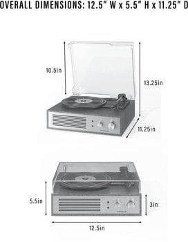Levysoitin Crosley Miles Black Levysoitin - 16