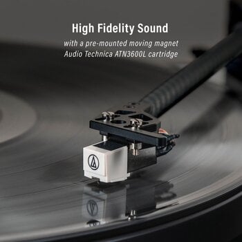 Levysoitin Crosley Stave Black Levysoitin - 14