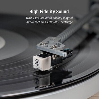 Levysoitin Crosley Stave Natural Levysoitin - 14