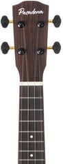 Сопрано укулеле Pasadena PU-20S Koa Vintage Natural Сопрано укулеле - 4