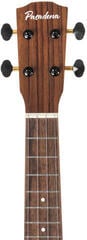 Concertukelele Pasadena PU-20C Koa Vintage Natural Concertukelele - 4