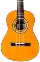 Semi-klassieke gitaar voor kinderen Pasadena PC-100 Natural Semi-klassieke gitaar voor kinderen - 3