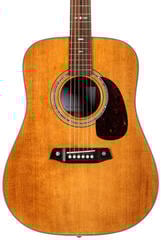 Dreadnought-gitar Pasadena PD-450 All Solid Vintage Natural Dreadnought-gitar - 3