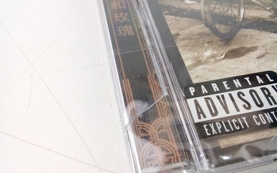 Glazbene CD Guns N' Roses - Chinese Democracy (CD) (Samo otvarano) - 3