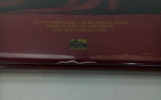 Vinüülplaat Bad Omens - The Death Of Peace Of Mind (Silver Vinyl) (2 LP) (Äsja lahti pakitud) - 3