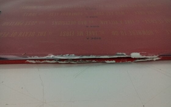 Vinüülplaat Bad Omens - The Death Of Peace Of Mind (Silver Vinyl) (2 LP) (Äsja lahti pakitud) - 5