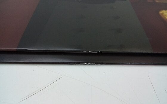 Vinüülplaat Bad Omens - The Death Of Peace Of Mind (Silver Vinyl) (2 LP) (Äsja lahti pakitud) - 9