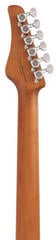 Chitară electrică FGN Expert Iliad Vintage Natural Chitară electrică - 5