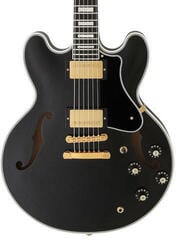 Chitară semi-acustică FGN Masterfield Semi Custom Chitară semi-acustică - 2