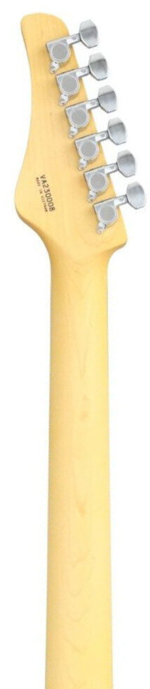 Tělo