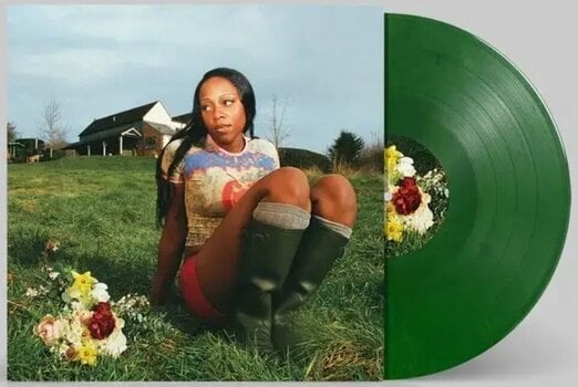 Disco in vinile Rachel Chinouriri - Little House (Indie Exclusive) (Limited Edition) (Green Coloured) (12" EP) - 2