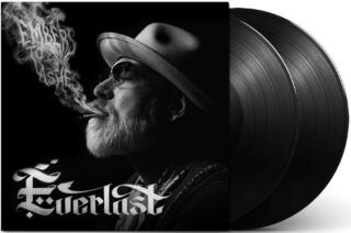 Грамофонна плоча Everlast - Embers To Ashes (2 LP) - 1