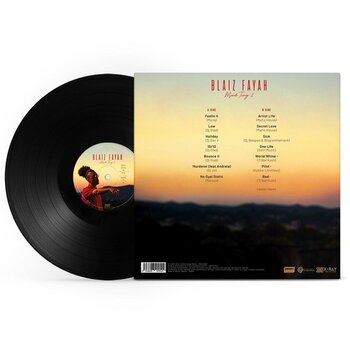 LP plošča Blaiz Fayah - Mad Ting 2 (LP) - 3