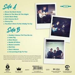 LP The Mooks - Just A Couple Of Mooks (Limited Edition) (Random Coloured) (LP) - 1