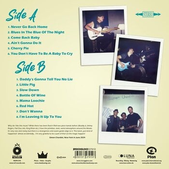 LP The Mooks - Just A Couple Of Mooks (Limited Edition) (Random Coloured) (LP) - 2
