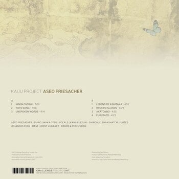 LP plošča Aseo Friesacher - Kaiju Project (Gatefold Sleeve) (High Quality) (LP) - 2
