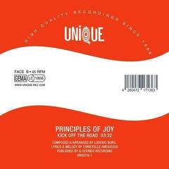 Disco de vinil Principles Of Joy - Mermaid's Tails / Kick Off The Road (7") - 1