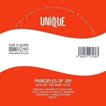 Disco de vinil Principles Of Joy - Mermaid's Tails / Kick Off The Road (7") - 2