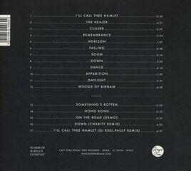 Disque vinyle Woods Of Birnam - Woods Of Birnam (Anniversary Edition) (10th Anniversary Edition) (LP) - 1