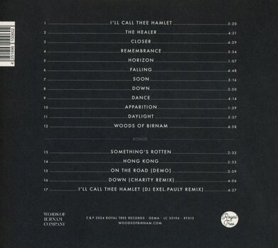 Disque vinyle Woods Of Birnam - Woods Of Birnam (Anniversary Edition) (10th Anniversary Edition) (LP) - 2