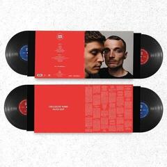 LP ploča Hinterlandgang - Vielleicht Wird Alles Gut (2 LP) - 2