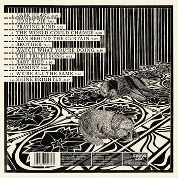 Грамофонна плоча Layla Zoe - The World Could Change (180 g) (2 LP) - 2